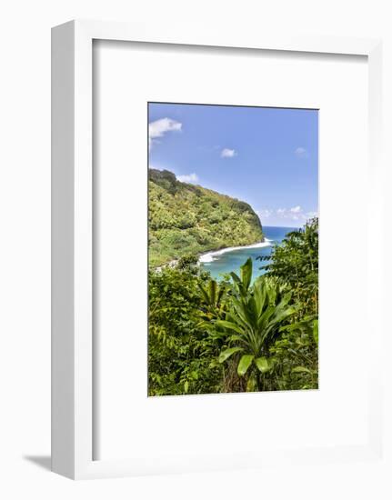 View of the coastline along the road to Hana, Maui, Hawaii-Darrell Gulin-Framed Photographic Print