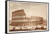 View of the Colosseum During Restoration, 1833-Agostino Tofanelli-Framed Stretched Canvas