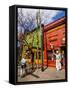 View of the colourful La Boca Neighbourhood, City of Buenos Aires, Buenos Aires Province, Argentina-Karol Kozlowski-Framed Stretched Canvas