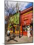 View of the colourful La Boca Neighbourhood, City of Buenos Aires, Buenos Aires Province, Argentina-Karol Kozlowski-Mounted Photographic Print