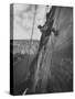 View of the Construction of the Glen Canyon Dam-Ralph Crane-Stretched Canvas