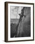 View of the Construction of the Glen Canyon Dam-Ralph Crane-Framed Photographic Print