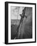 View of the Construction of the Glen Canyon Dam-Ralph Crane-Framed Photographic Print