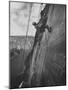 View of the Construction of the Glen Canyon Dam-Ralph Crane-Mounted Photographic Print
