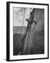 View of the Construction of the Glen Canyon Dam-Ralph Crane-Framed Photographic Print