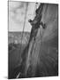 View of the Construction of the Glen Canyon Dam-Ralph Crane-Mounted Photographic Print