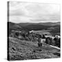 View of the Countryside in Deeside. 28/08/1959-Staff-Stretched Canvas