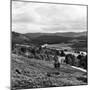 View of the Countryside in Deeside. 28/08/1959-Staff-Mounted Photographic Print