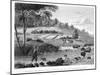 View of the Cox River, West of the Blue Mountains Book Illustration-null-Mounted Giclee Print