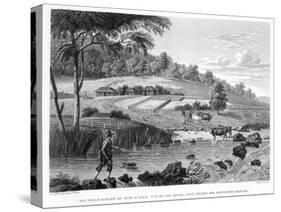 View of the Cox River, West of the Blue Mountains Book Illustration-null-Stretched Canvas