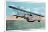 View of the Curtiss Sea Gull Airplane-Lantern Press-Mounted Art Print