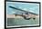 View of the Curtiss Sea Gull Airplane-Lantern Press-Framed Art Print