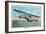 View of the Curtiss Sea Gull Airplane-Lantern Press-Framed Art Print