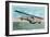 View of the Curtiss Sea Gull Airplane-Lantern Press-Framed Art Print