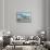View of the Curtiss Sea Gull Airplane-Lantern Press-Framed Stretched Canvas displayed on a wall