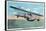 View of the Curtiss Sea Gull Airplane-Lantern Press-Framed Stretched Canvas