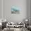 View of the Curtiss Sea Gull Airplane-Lantern Press-Stretched Canvas displayed on a wall