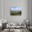 View of the Danube River, Budapest, Hungary-Miva Stock-Photographic Print displayed on a wall