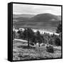 View of the Deeside Country, Aberdeenshire. 28/08/1959-Staff-Framed Stretched Canvas