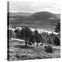 View of the Deeside Country, Aberdeenshire. 28/08/1959-Staff-Stretched Canvas