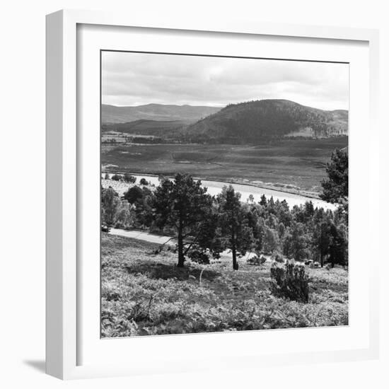 View of the Deeside Country, Aberdeenshire. 28/08/1959-Staff-Framed Photographic Print