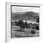 View of the Deeside Country, Aberdeenshire. 28/08/1959-Staff-Framed Photographic Print