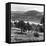 View of the Deeside Country, Aberdeenshire. 28/08/1959-Staff-Framed Stretched Canvas