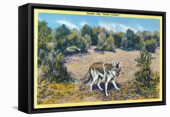 View of the Desert Outlaw, the Coyote-Lantern Press-Framed Stretched Canvas