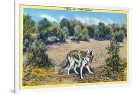 View of the Desert Outlaw, the Coyote-Lantern Press-Framed Art Print