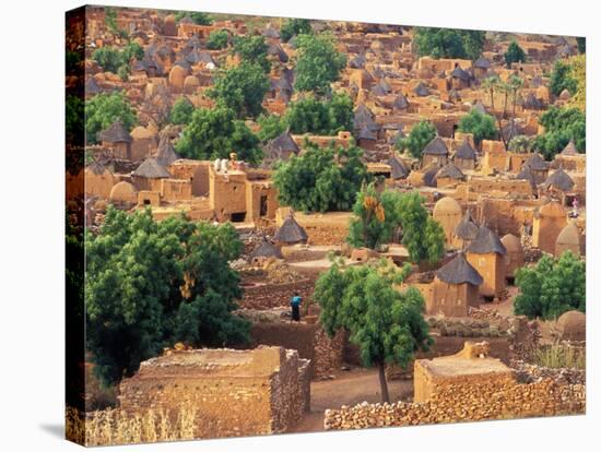 View of the Dogon Village of Songo, Mali-Janis Miglavs-Stretched Canvas