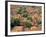 View of the Dogon Village of Songo, Mali-Janis Miglavs-Framed Photographic Print