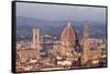 View of the Duomo and Palazzo Vecchio-null-Framed Stretched Canvas