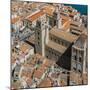 View of the Duomo (Cathedral) from the Rocca (Fortress)-Massimo Borchi-Mounted Photographic Print