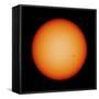 View of the Earth-Facing Surface of the Sun Showing a Few Small Sunspots-null-Framed Stretched Canvas