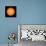 View of the Earth-Facing Surface of the Sun Showing a Few Small Sunspots-null-Stretched Canvas displayed on a wall
