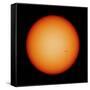 View of the Earth-Facing Surface of the Sun Showing a Few Small Sunspots-null-Framed Stretched Canvas