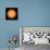 View of the Earth-Facing Surface of the Sun Showing a Few Small Sunspots-null-Premium Photographic Print displayed on a wall