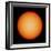 View of the Earth-Facing Surface of the Sun Showing a Few Small Sunspots-null-Framed Photographic Print