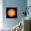 View of the Earth-Facing Surface of the Sun Showing a Few Small Sunspots-null-Photographic Print displayed on a wall