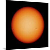 View of the Earth-Facing Surface of the Sun Showing a Few Small Sunspots-null-Mounted Photographic Print