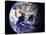 View of the Earth from Space Showing the Eastern Hemisphere-Stocktrek Images-Stretched Canvas