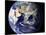 View of the Earth from Space Showing the Eastern Hemisphere-Stocktrek Images-Stretched Canvas