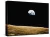 View of the Earth Rising-null-Stretched Canvas