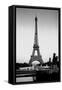 View of the Eiffel Tower Made in 1889 by Gustave Eiffel (1832-1923). Paris-Gustave Eiffel-Framed Stretched Canvas