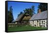 View of the Estonian Open Air Museum-null-Framed Stretched Canvas