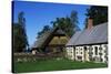 View of the Estonian Open Air Museum-null-Stretched Canvas