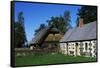 View of the Estonian Open Air Museum-null-Framed Stretched Canvas