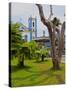 View of the Exaltacao da Santa Cruz Church, Ubatuba, State of Sao Paulo, Brazil, South America-Karol Kozlowski-Stretched Canvas