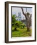 View of the Exaltacao da Santa Cruz Church, Ubatuba, State of Sao Paulo, Brazil, South America-Karol Kozlowski-Framed Photographic Print