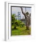 View of the Exaltacao da Santa Cruz Church, Ubatuba, State of Sao Paulo, Brazil, South America-Karol Kozlowski-Framed Photographic Print